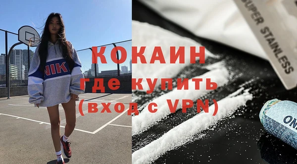 прущие грибы Армянск