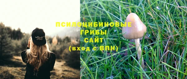 прущие грибы Армянск