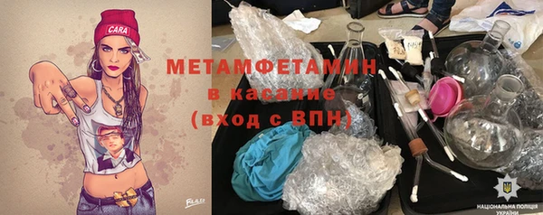прущие грибы Армянск