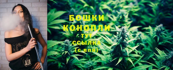 прущие грибы Армянск